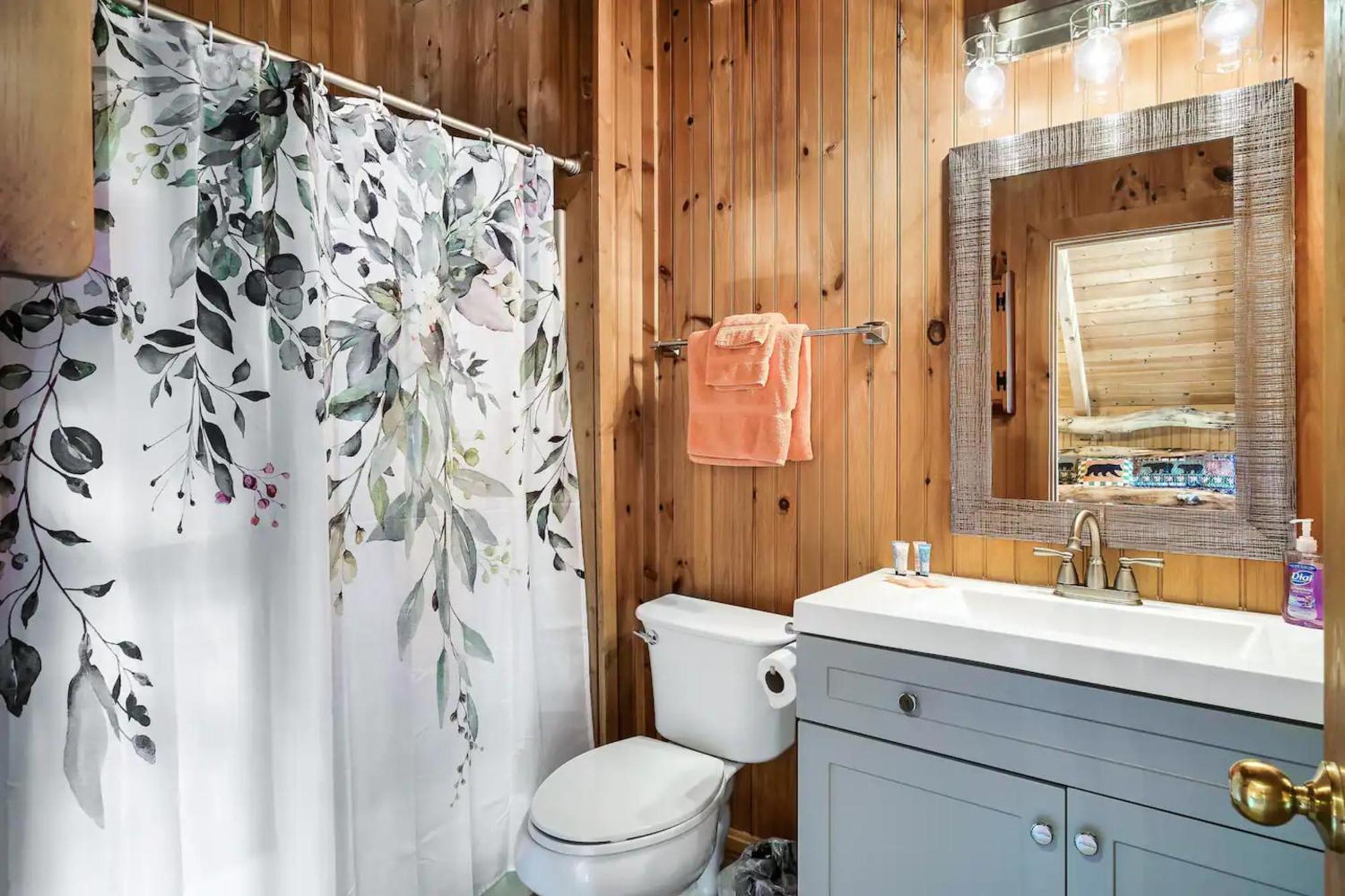 Views 1Br15Bath Pet-Friendly With Hot Tub & Bbq 鸽子谷 外观 照片